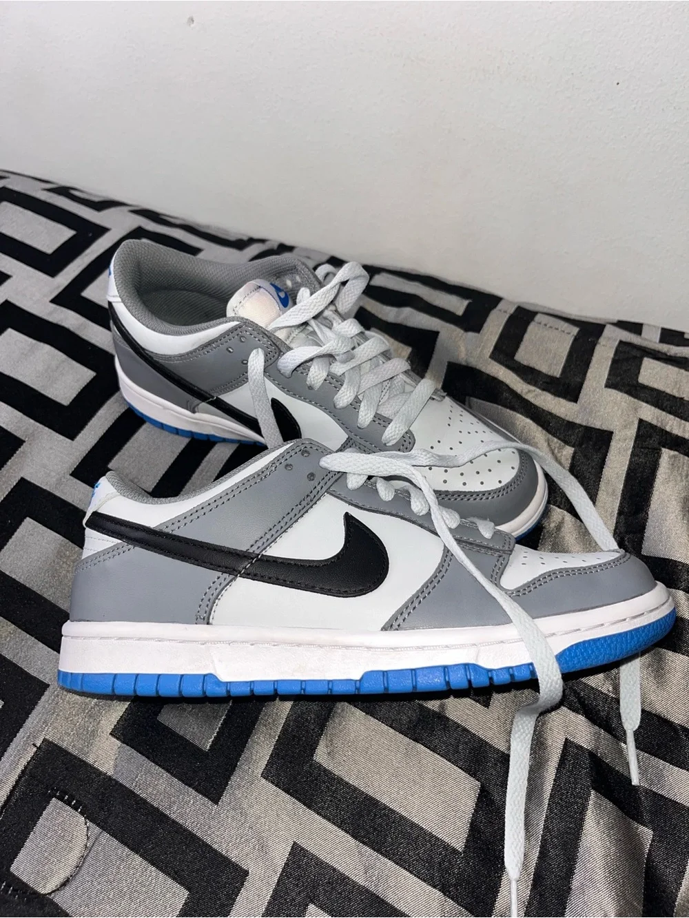Big Kids Nike Dunk Low